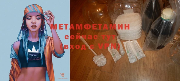 прущие грибы Беломорск