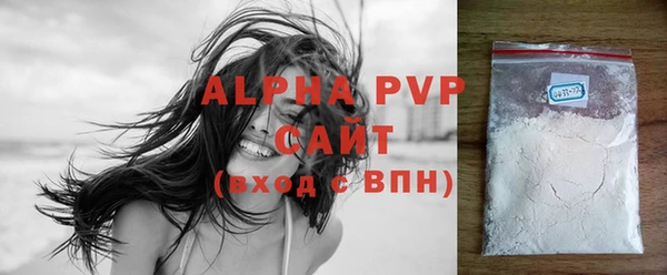 ECSTASY Бородино