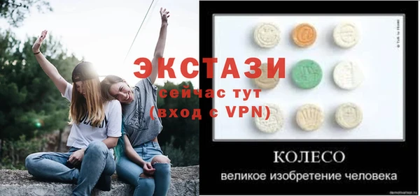 ECSTASY Бородино