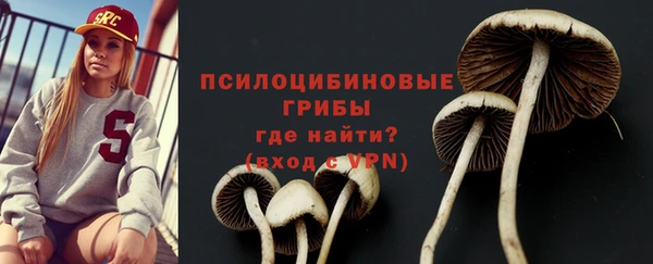 стаф Белокуриха