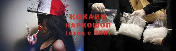 прущие грибы Беломорск