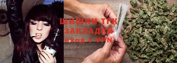 прущие грибы Беломорск