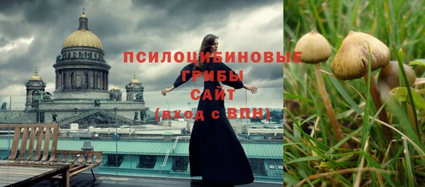 прущие грибы Беломорск