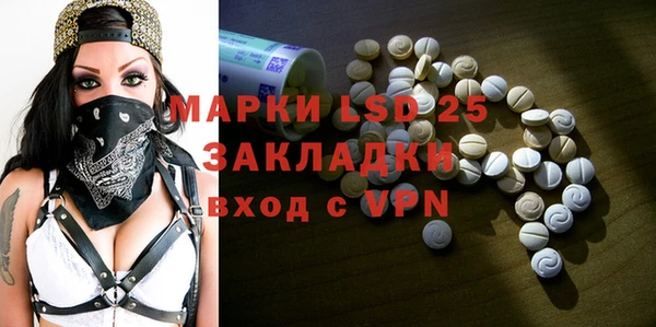 индика Балахна