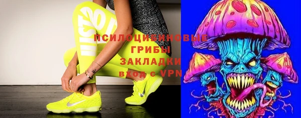 стаф Белокуриха