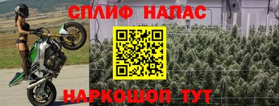 спиды Абинск