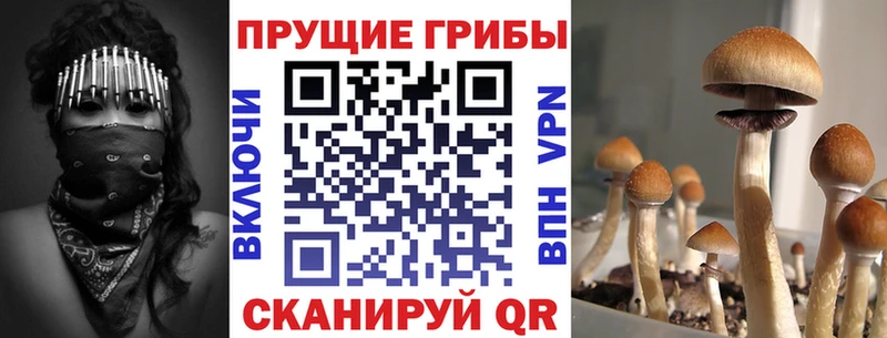 Галлюциногенные грибы мухоморы  закладки  Баксан 