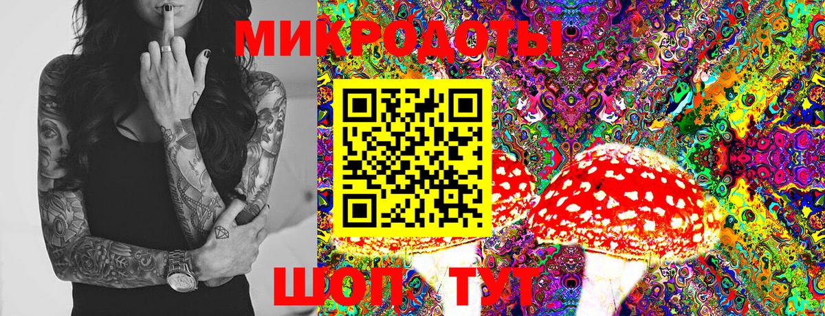 Псилоцибиновые грибы прущие грибы Баксан