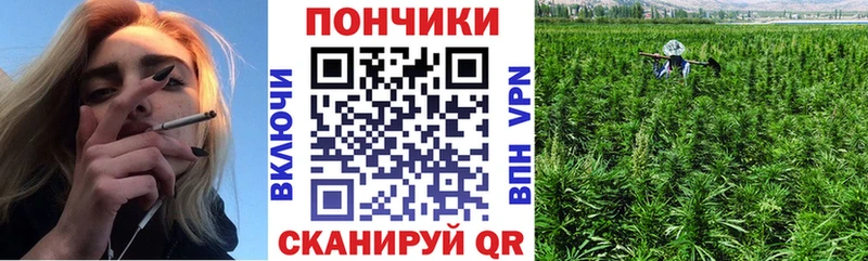 Конопля индика  продажа наркотиков  Баксан 
